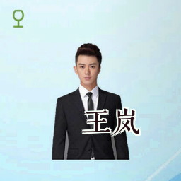 王岚